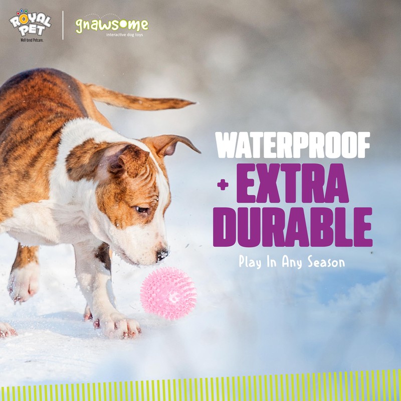 Gnawsome Medium Squeaker Ball Dog Toy, Medium 3.5", Colors will