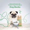 Dog Rocks for Urine Burning Grass - 200g Natural Pet