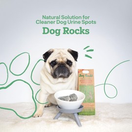 Dog Rocks for Urine Burning Grass - 200g Natural Pet Rock to Help Maintain Green Lawn - Grass Savers for Dog Urine - 2 Month Supply for Use in Water Bowls or Yard