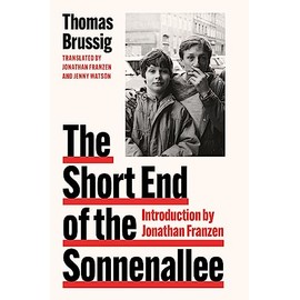The Short End of the Sonnenallee: The hilarious historical fiction novel with uproarious wit
