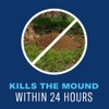BioAdvanced 24 Hour Lawn Insect & Fire Ant Killer, Granules,