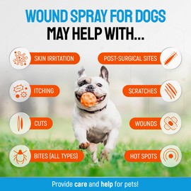 SILVER GRADE Dog Wound Spray Helps with Hot Spots, Irritations, Bites, Burns, Rashes, Itch, Scratching – Better Use with a Dog Cone to Stop Licking – Safe for Large and Small Breeds – 4 oz