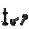OUSCHR 5/16-18 x 1" Carriage Bolt Kit, Stainless Steel 304