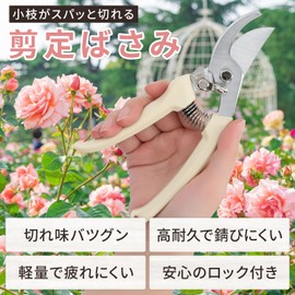Small Lightweight Pruning Shears (High Carbon Steel)