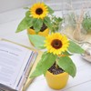 Seishin Pottery Mini Sunflower Cultivation Set