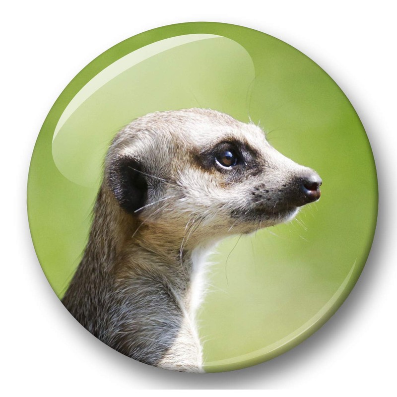 Merchandise for Fans 01 Fridge Magnets Meerkat Set of 6