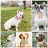Ewinoom Bowtie Dog Collar Adjustable Soft Collars with Detachable Bow