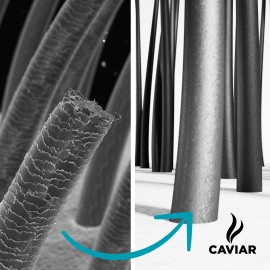 Caviar Shampoo + Reestructuración + Hidratación 900ml
