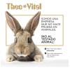 Suavizante De Líneas De Expresióncon Elastina Theo Vital