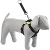 Petface Car Safety Harness XS