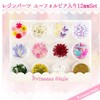 Princess-style Resin Parts, Dried Flower with Euphoria Nail Resin Pressed