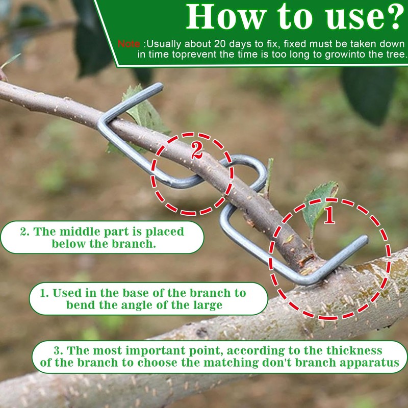 YeahBoom 22 pieces 10 cm branch support for fruit trees,