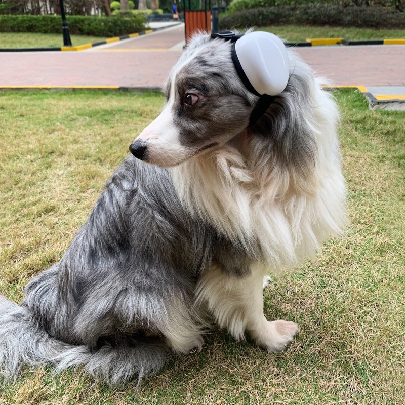 derYEP DHP03 - Orejeras para Perro para protección auditiva de