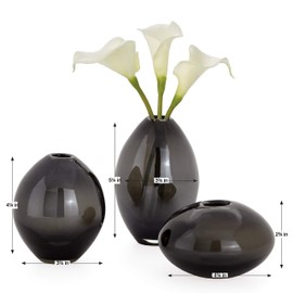 Torre & Tagus Mini Lustre Bud Vase Set for Home Office Tabletop Centerpiece, Assorted, Smoke Black