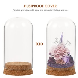 NOLITOY 5Pcs Clear Glass Display Dome Cover with Wood Base, Cloche Dome Storage Jar Container for Preserved Flower Cover Tabletop Centerpiece Decorative, 4 H X 2.3 D