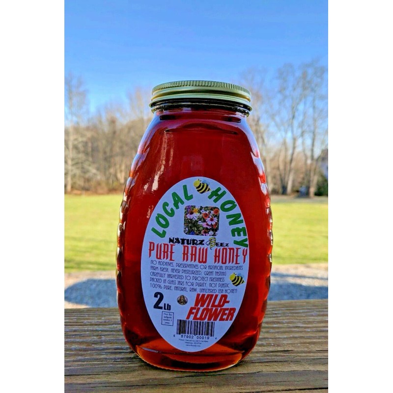 NATURZ BEEZ RAW HONEY WILDFLOWER 2LB 100% PURE LOCAL NATURAL