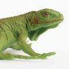Toob Green Iguana Baby, Multi