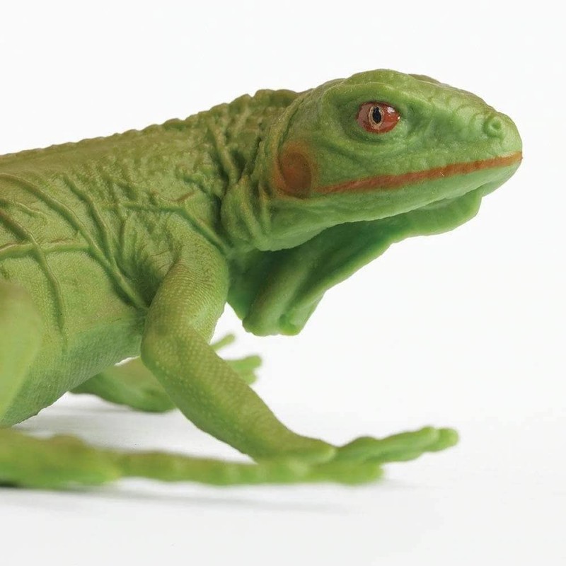 Toob Green Iguana Baby, Multi