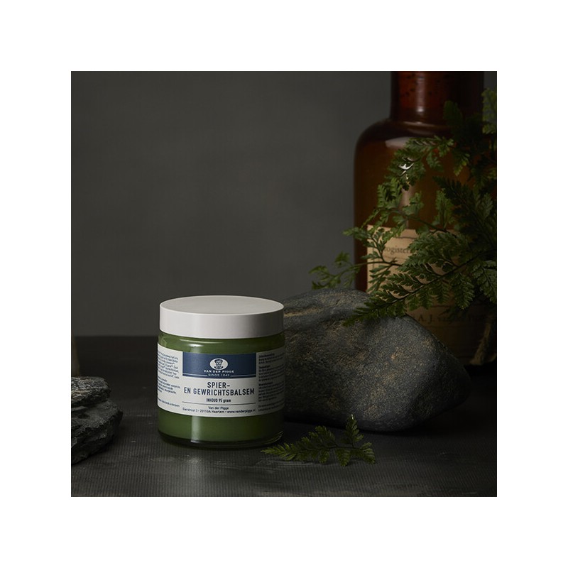 Van der Piguet Muscle & Joint Balm 95g / 반데르피게