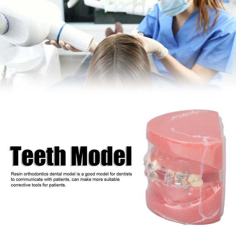 Demonstration Orthodontics Dental Model Disassembled Resin Teeth Model for Teaching