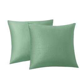 RainRoad Sage Green Throw Pillows Covers Set of 2 Soft Velvet Decorative Pillow Covers 20x20 Inch for Couch Bed(Sage Green, 20" x 20"(2pcs))