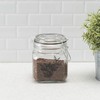 Home Basics Ludlow Canister with Metal Clasp, Clear (23 oz.)