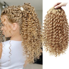 Drawstring Ponytail Curly Wavy Heat Resistant Synthetic Instant Clip Ponytail Extension Protective Style Afro Kinky Curly Hair Pieces for Women (27#, 14inch)