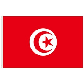 National Flags 5ft x 3ft with Grommets for Football Match Event in 2022, 32 Teams Flags Double Stitched Hem Polyester Flag for Indoor Outdoor Use (Tunisia)