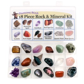 DANCING BEAR 18 Pc Rock and Mineral Educational Collection & Deluxe Collection Box with Description Sheet and Educational Information. Limited Edition, Geology Gem Kit for Kids with Display Case