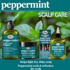 Difeel Peppermint Hot Oil Treatment for Dry, Irritated or Flaky