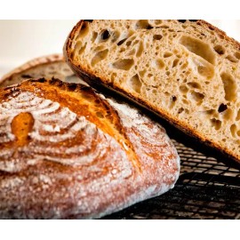 Heritage Sour SOURDOUGH STARTER DEHYDRATED STRONG 125+ YRS SAN FRANCISCO - 15 GRAM BAG