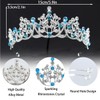 Rannyrena Crystal Wedding Tiaras and Crowns for Women Sparkling Rhinestone