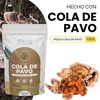 Hongo Cola de Pavo - En Polvo - Vegan -100