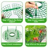 Iceyyyy 5 Pack Strawberry Plant Support - Strawberry Growing Racks