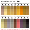 ripea exactly A Role Model Scratch Hidden Color Pen Brown