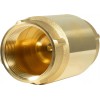 Deargooday 1 1/4" Check Valve Female Pipe Thread One Way