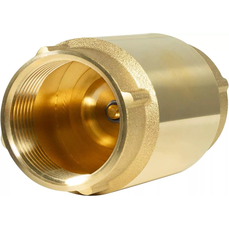 Deargooday 1 1/4" Check Valve Female Pipe Thread One Way