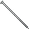4" Exterior Hot Dipped Galvanized Common Framing Nail (20d) 1