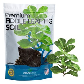 Fiddle Leaf fig Soil Plant Food fig Trees Live Plants Fertilizer Seed Starter Soil Plant Chunky Perlite 4 cu ft Plant pots Indoor with Drainage Free 2 oz Bag of Fertilizer Pellets Inside 2.4 Qts