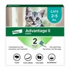 Advantage II Kitten Vet-Recommended Flea Treatment & Prevention | Cats