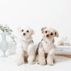 Monchéri Dog Harness, Cooling Ice Cream Pattern Harness + Lead