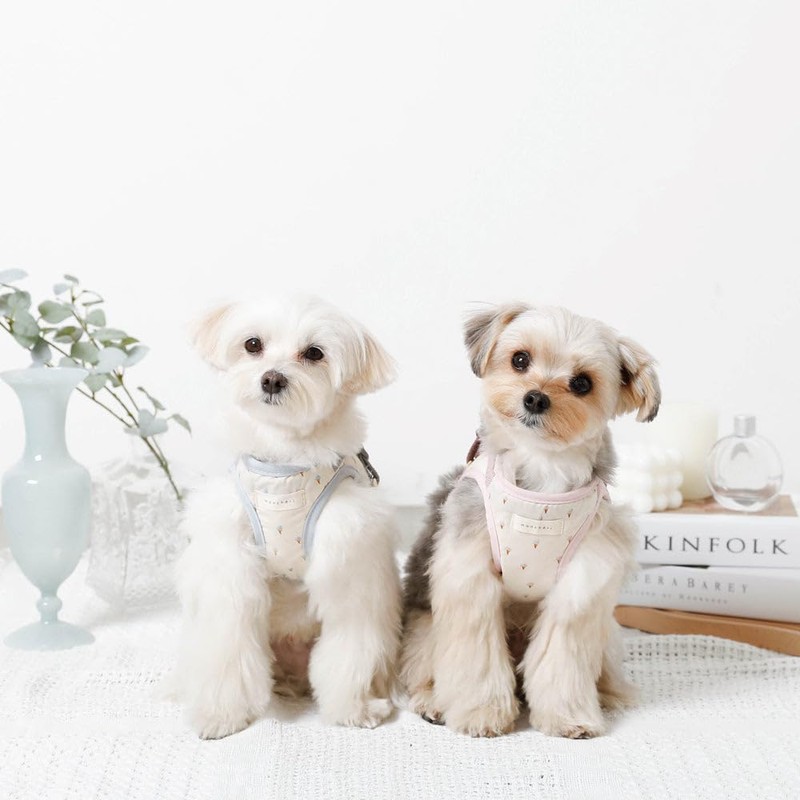 Monchéri Dog Harness, Cooling Ice Cream Pattern Harness + Lead