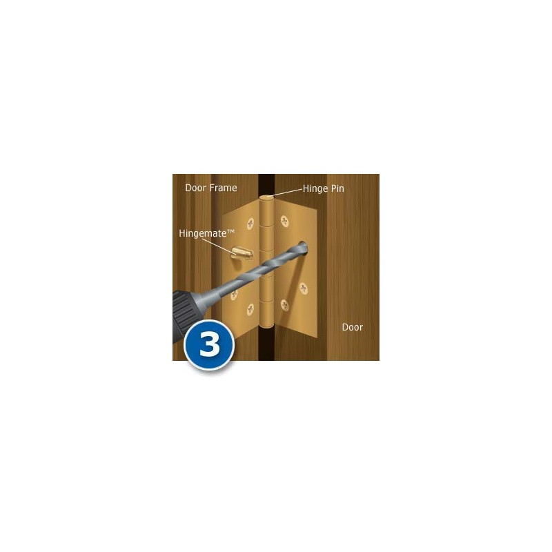 Door Hinge Security Pins / Screws / Stud, 3-Pack Kit