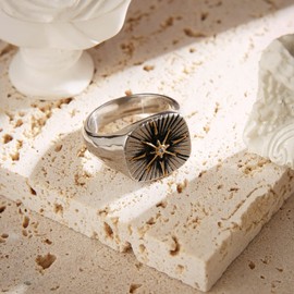 HZMAN Viking Nautical Compass Ring for Men Stainless Steel Vintage Pirate Sailor Amulet Ring Jewelry Gift, 9, Metal, No Gemstone