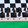 Chess Travel Set Portable Ultra Thin Folding Board Game Youth