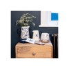 Something Different CO_17822 Ceramic Flower Jug | Seashell | 17