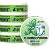 LyvWel Energy Pouches (1 Pack) (56mg fuel/pouch) energy Decky +
