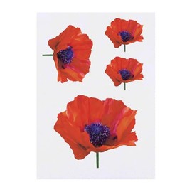 4 x 'Poppy Flower' Temporary Tattoos - Water Resistant, Skin-Safe, Non-Toxic Transfers, Mixed Sizes (TO00079240)
