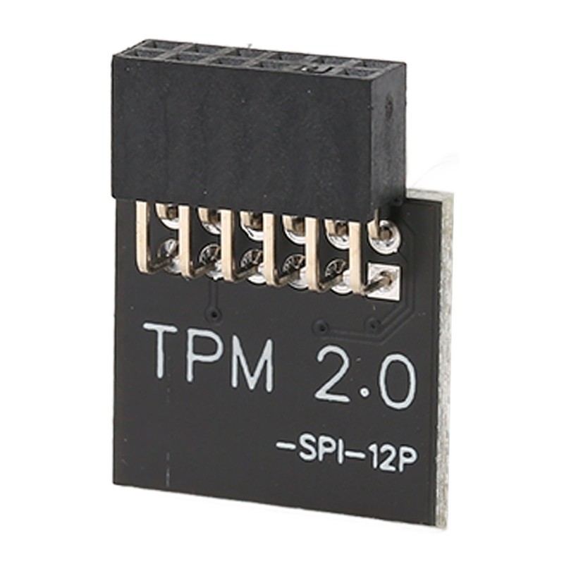 TPM2.0 Encryption Security Module for GIGABYTE Mainboard SPI 12Pin Security