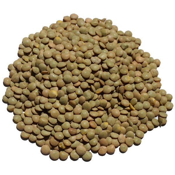 Brown Lentil Brown Lentil Lentil, Flatbeans, Lentils, Lentils, Skin Included, Masurdar, Muscledar, Sabut Masoor Masoor Dal, Ameyoko, Otsuya (17.6 oz (500 g)